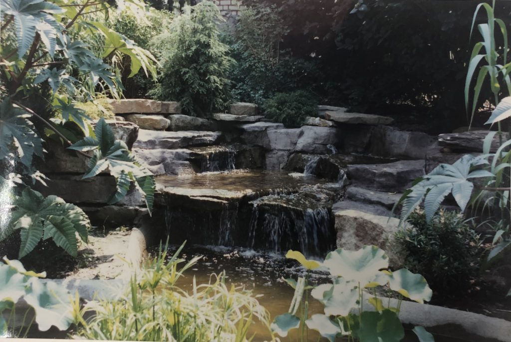 small pond and waterfall with foliage